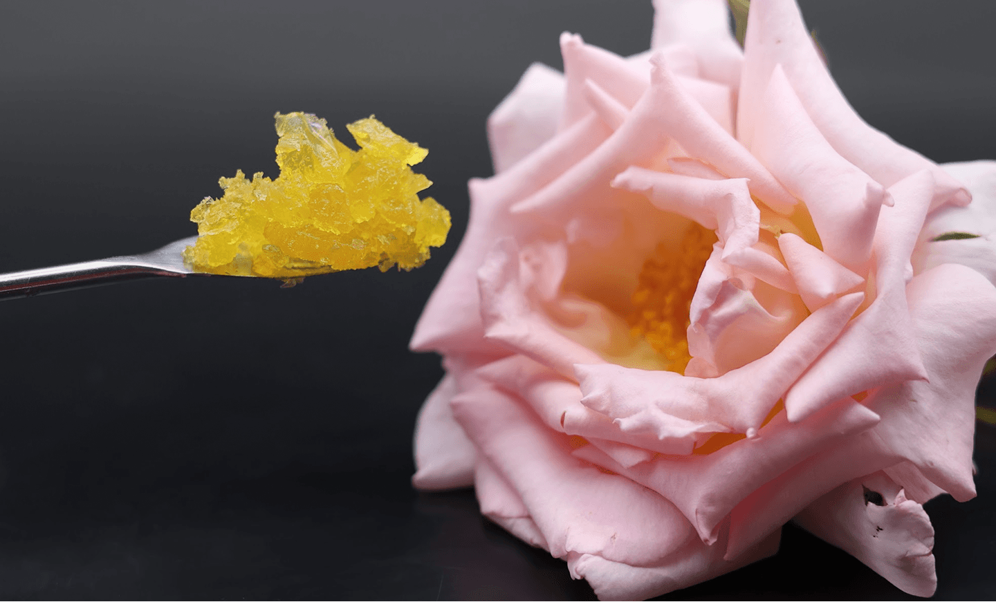 Image showing gel and flower
