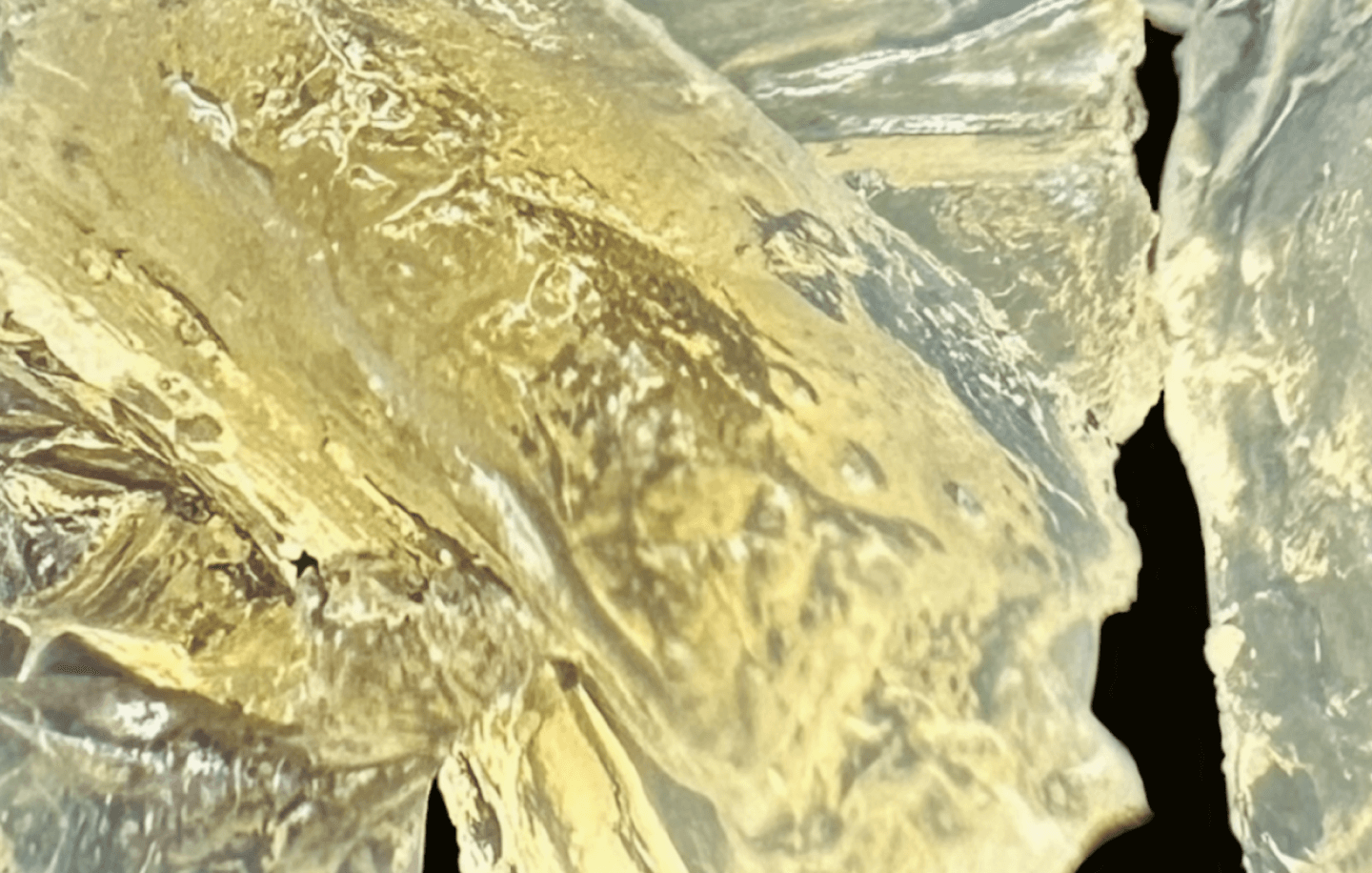 Background with yellow oleogel